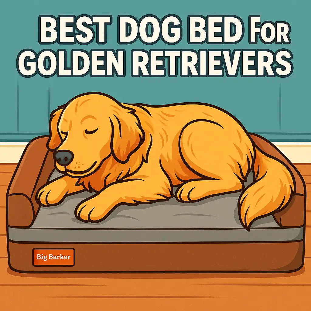 The Best Good Dog Bed for Golden Retrievers: Top Picks for Comfort