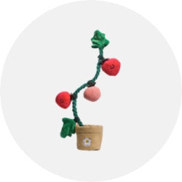Treat Dispensing Toys