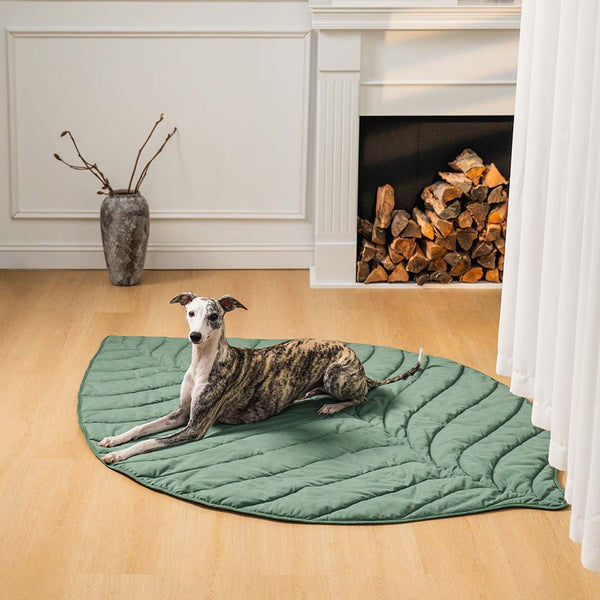 Leaf Shape Dog Blanket - FUNNYFUZZY