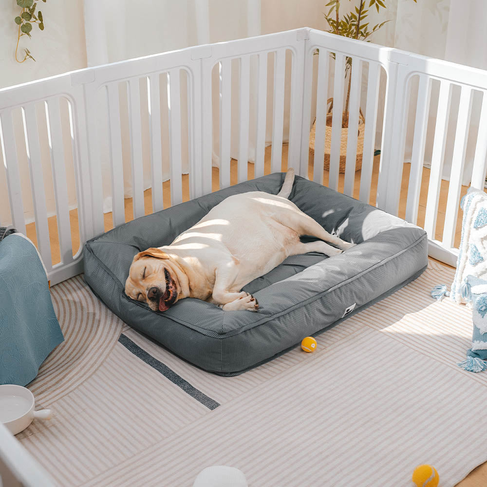 Cama grande impermeável para cães com suporte surround totalmente ortopédico