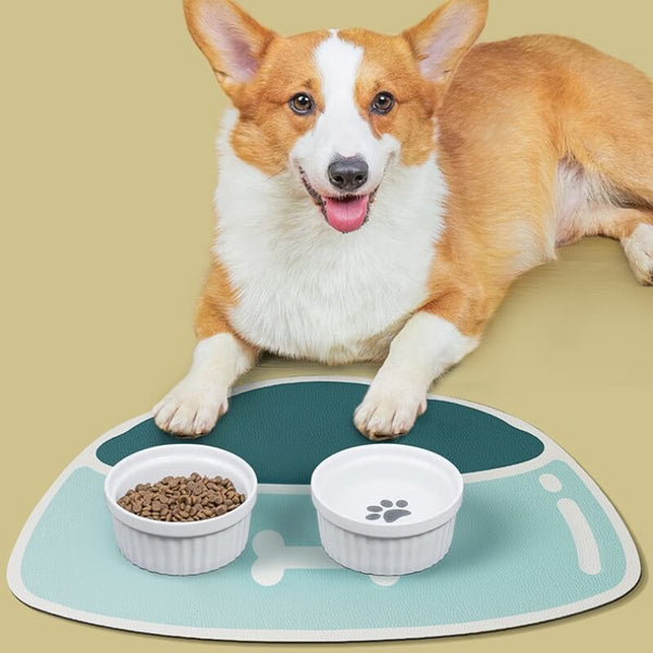 Quick-Dry Absorbent Non-Slip Pet Feeding Mat