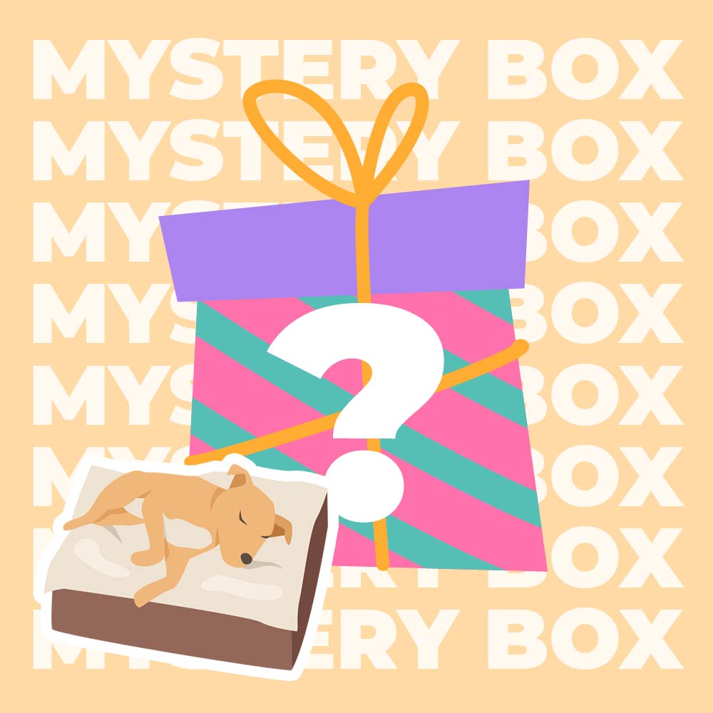 Kit de viagem seguro para cães com até 15 kg - $ 220 VALOR MYSTERY BOX