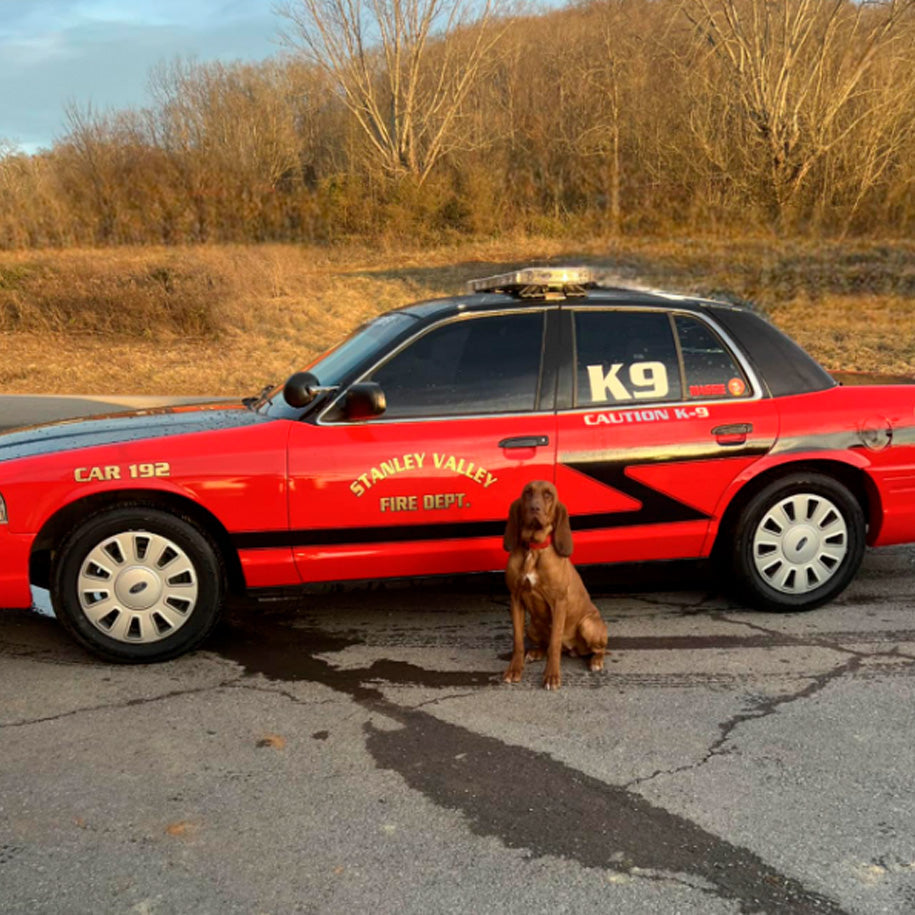 FunnyFuzzy Joins Forces with Stanley Valley’s Four-Legged Firefighters!