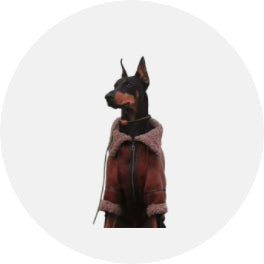 Dog Cold Weather Coat