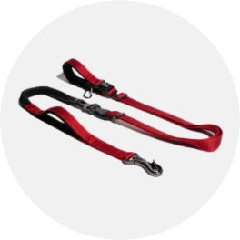 Leashes & Harnesses