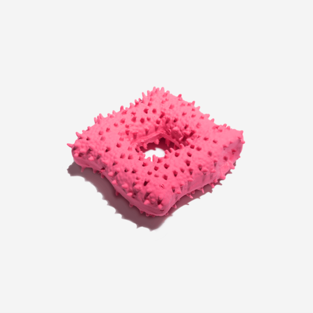 Cactus Shaped Squeaky Dog Toys