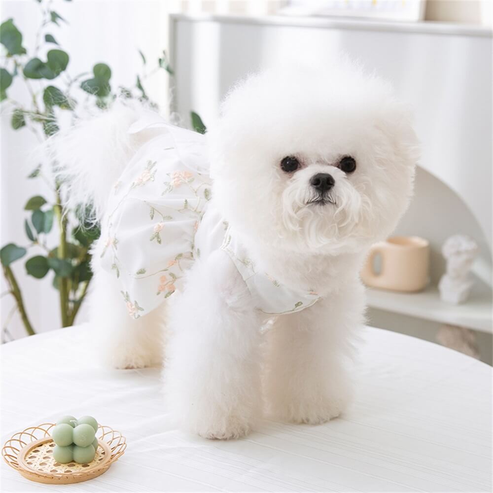 Chic Dog Dress Collection - Stylish and Adorable Outfits for Every Occasion