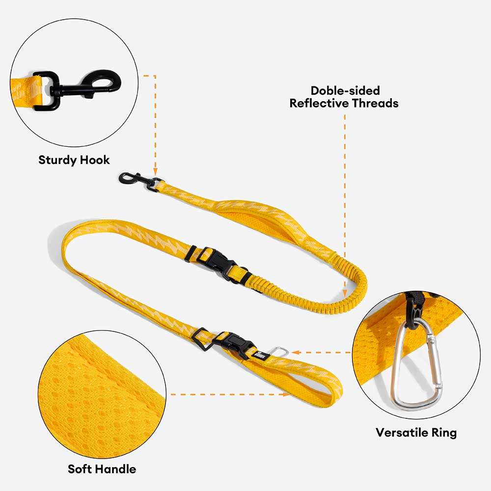 Dual-sided Reflective Adjustable Versatile Soft Handle Nylon Large Dog Leashes - Flexi Walker