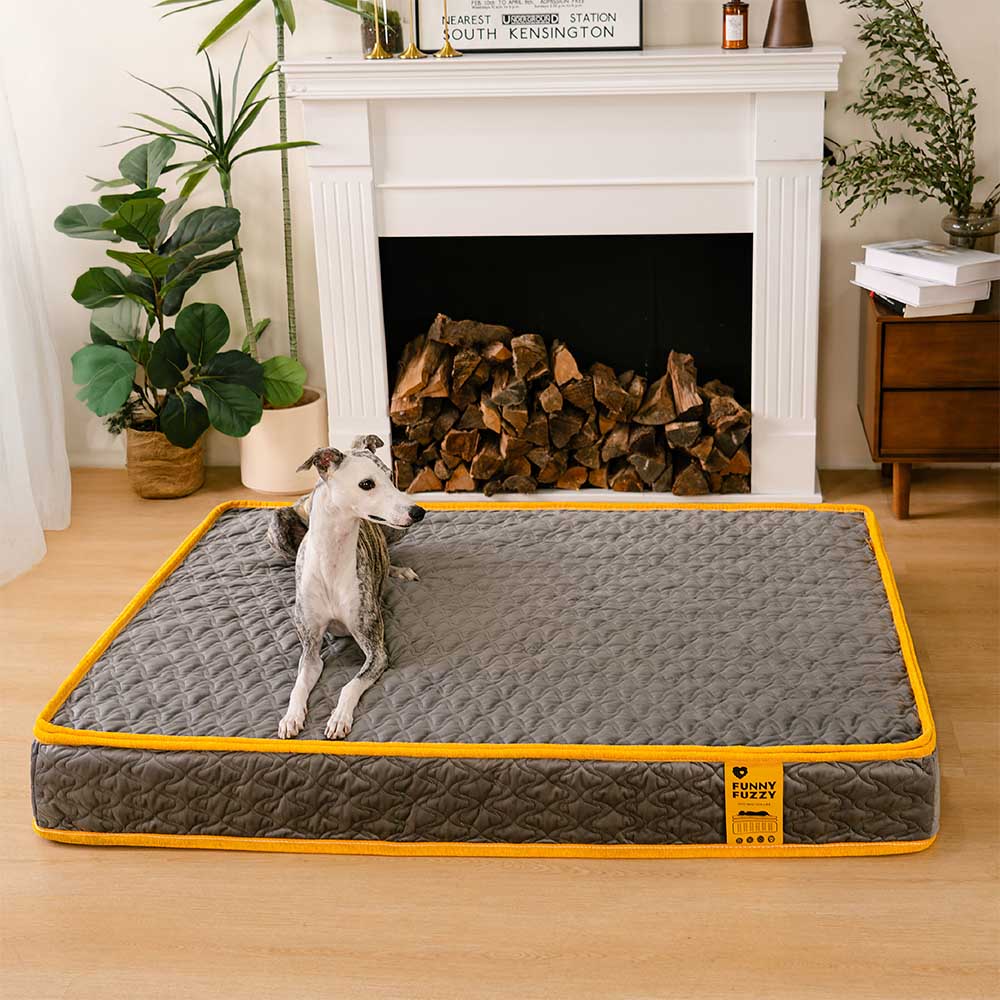 Human-grade Innerspring Coils Orthopedic Human Dog Bed - Everdream