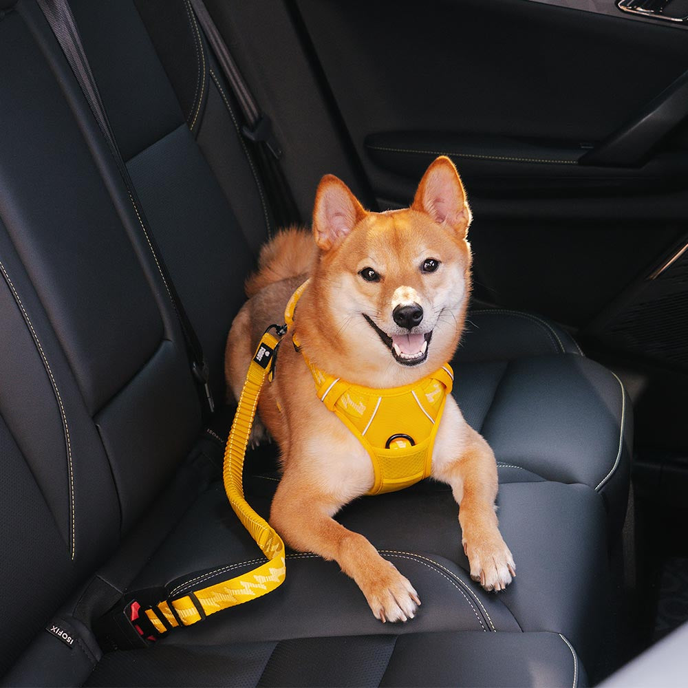 Cinto de segurança de carro com amortecedor ajustável para cães legais