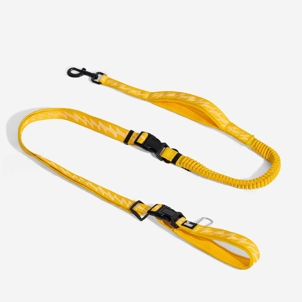 Dual-sided Reflective Adjustable Versatile Soft Handle Nylon Large Dog Leashes - Flexi Walker