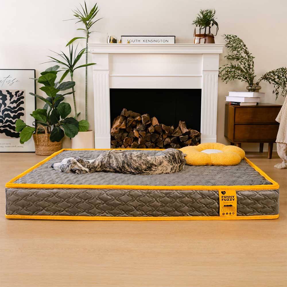 Human-grade Innerspring Coils Orthopedic Human Dog Bed - Everdream