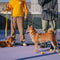 Dual-sided Reflective Adjustable Versatile Soft Handle Nylon Large Dog Leashes - Flexi Walker