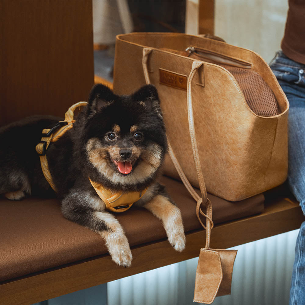Vogue Eco-friendly Dupont Waterproof Pet Carrier - City Roamer