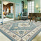 Midcentury Classic Pet-Friendly Living Room Persian Rug