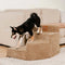 Cozy Corduroy Joint-Friendly Removable Spiral Pet Stairs - CreamyStep