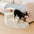 Cozy Corduroy Joint-Friendly Removable Spiral Pet Stairs - CreamyStep