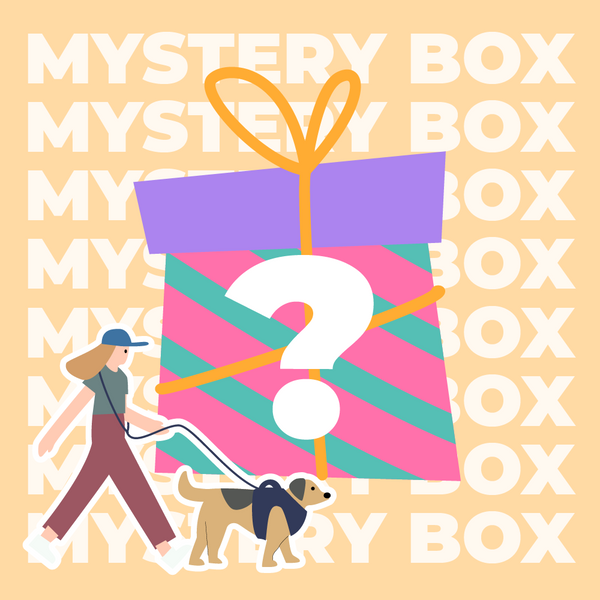 Kit de viagem seguro para cães com até 15 kg - $ 220 VALOR MYSTERY BOX