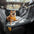 Premium Faux Leather Water-repellent Hammock Dog Car Seat Cover With Mat