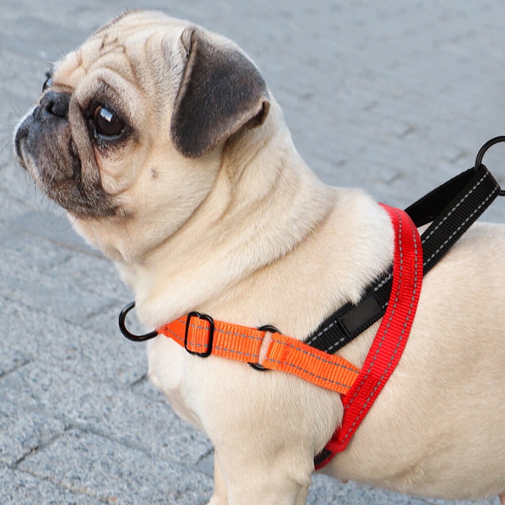 No-Choke Reflective Dog Harness with Adjustable Leash