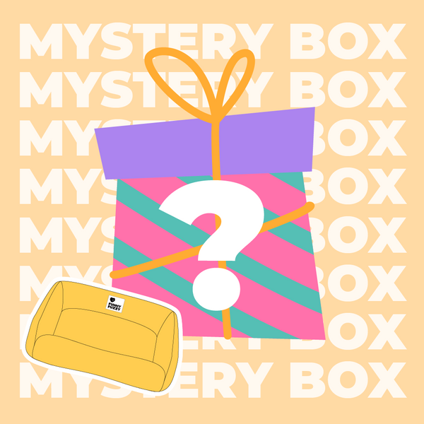 Kit de viagem seguro para cães com até 15 kg - $ 220 VALOR MYSTERY BOX