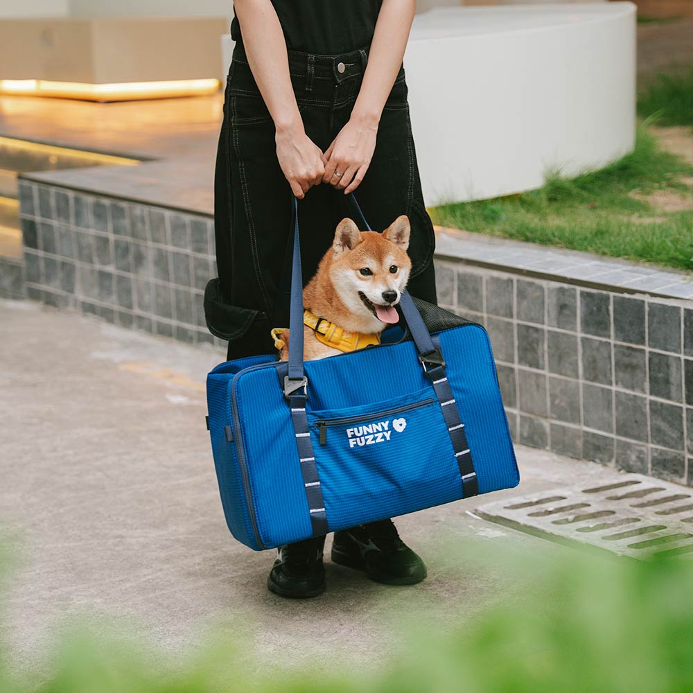 Lightweight Waterproof Safety Dog Booster Car Seat ＆ Pet Carrier - Gympet