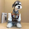 Plaid Baseball Dog Jacket – Sporty and Stylish Outerwear for Dogs