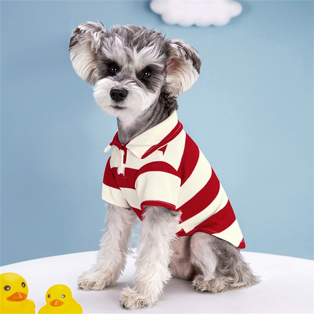 Striped Polo Dog Shirt - Classic Style for Your Pup