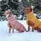 Waterproof And Windproof Warm Vest - The Ultimate In Winter Warmth And Style