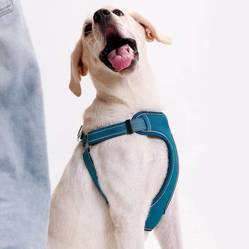 Arnês para cães respirável anti-tração ajustável com trela mãos-livres