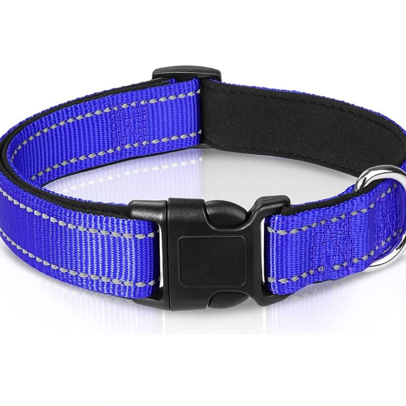 Adjustable Reflective Safety Nylon Dog Collar