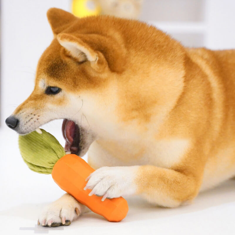 Brinquedo durável para mastigar cachorro com cenoura estridente