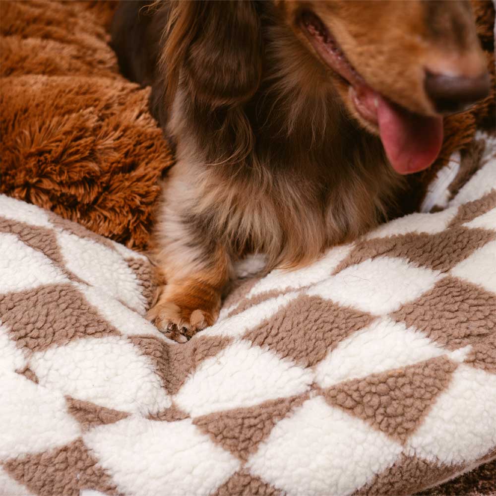 Classic Argyle Washable Bolster Donut Dog Bed - Cozy Haven