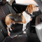 Cinto de segurança de carro de acessórios para cachorro legal ajustável com amortecedor colorido