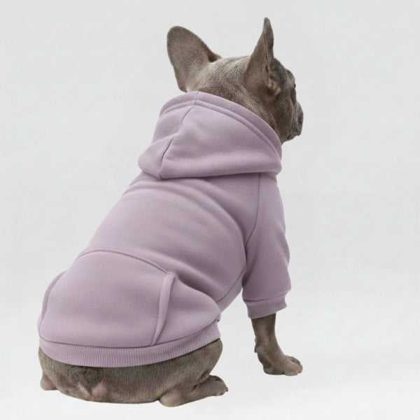 Colorful Cozy Dog Hoodies - Perfect for All-Weather Comfort