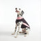 Cooling Ice Silk Striped Colored Breathable Dog Cooling Vest