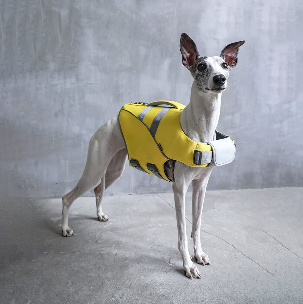 Colete salva-vidas para cães - salva-vidas