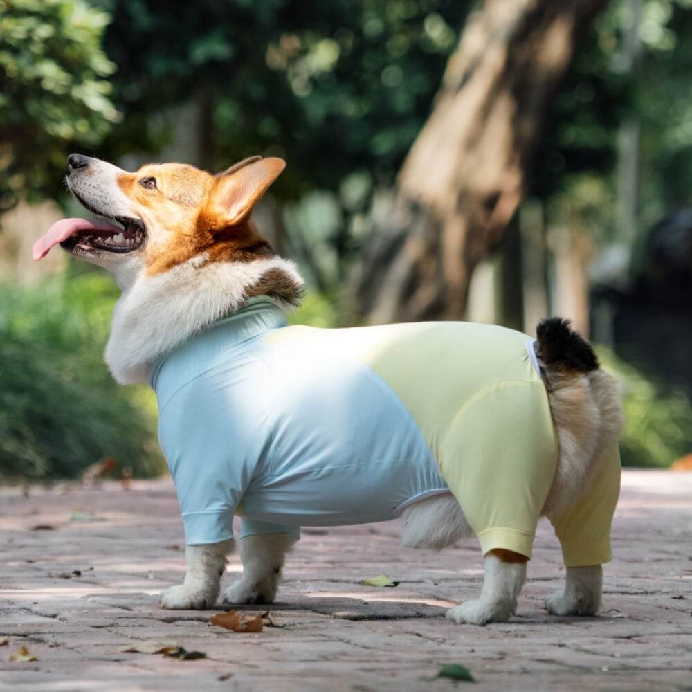 Protetor solar extra grande para cachorro Onesie com resfriamento de roupas para cachorro
