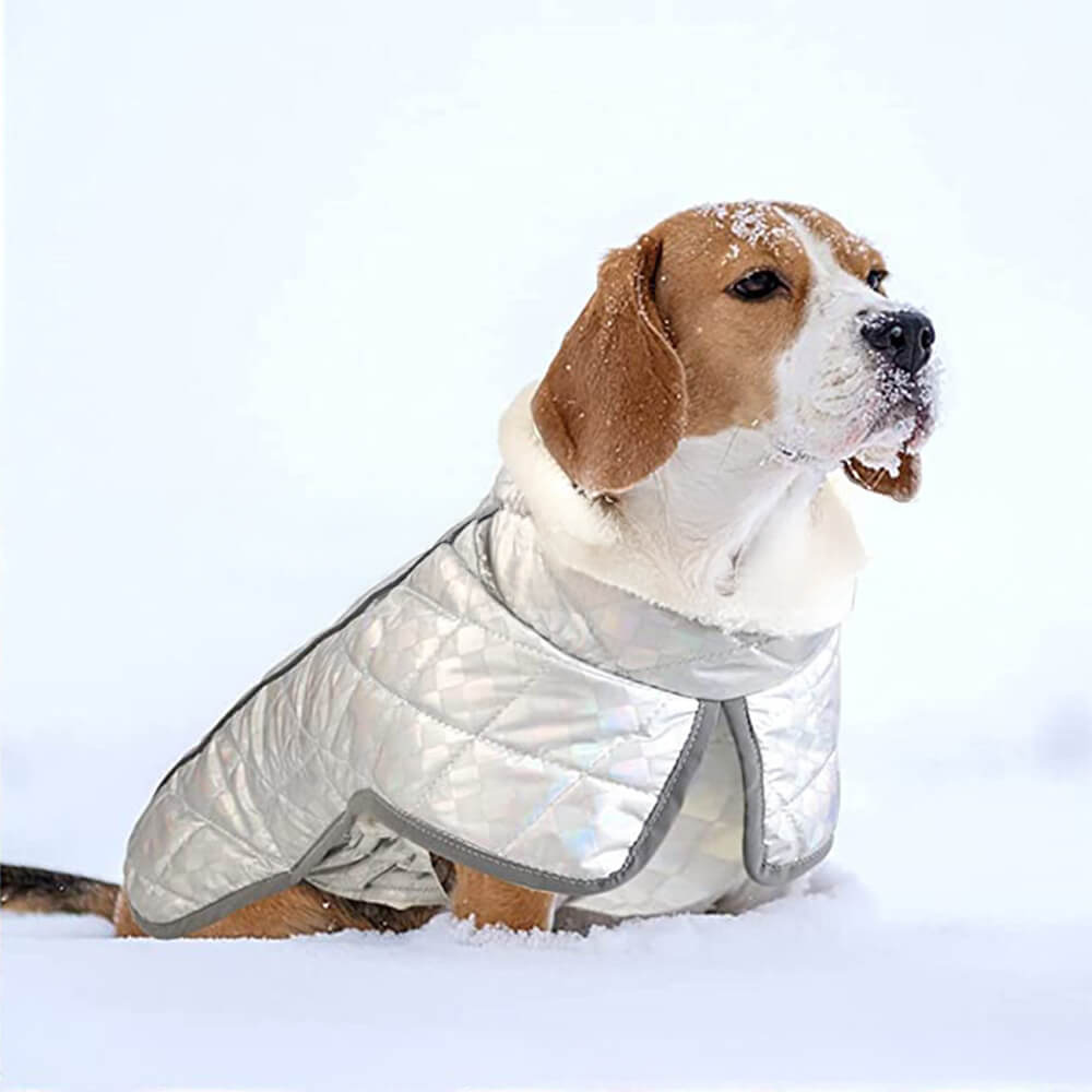 Dazzling Colorful Waterproof Reflective Warm Dog Jacket