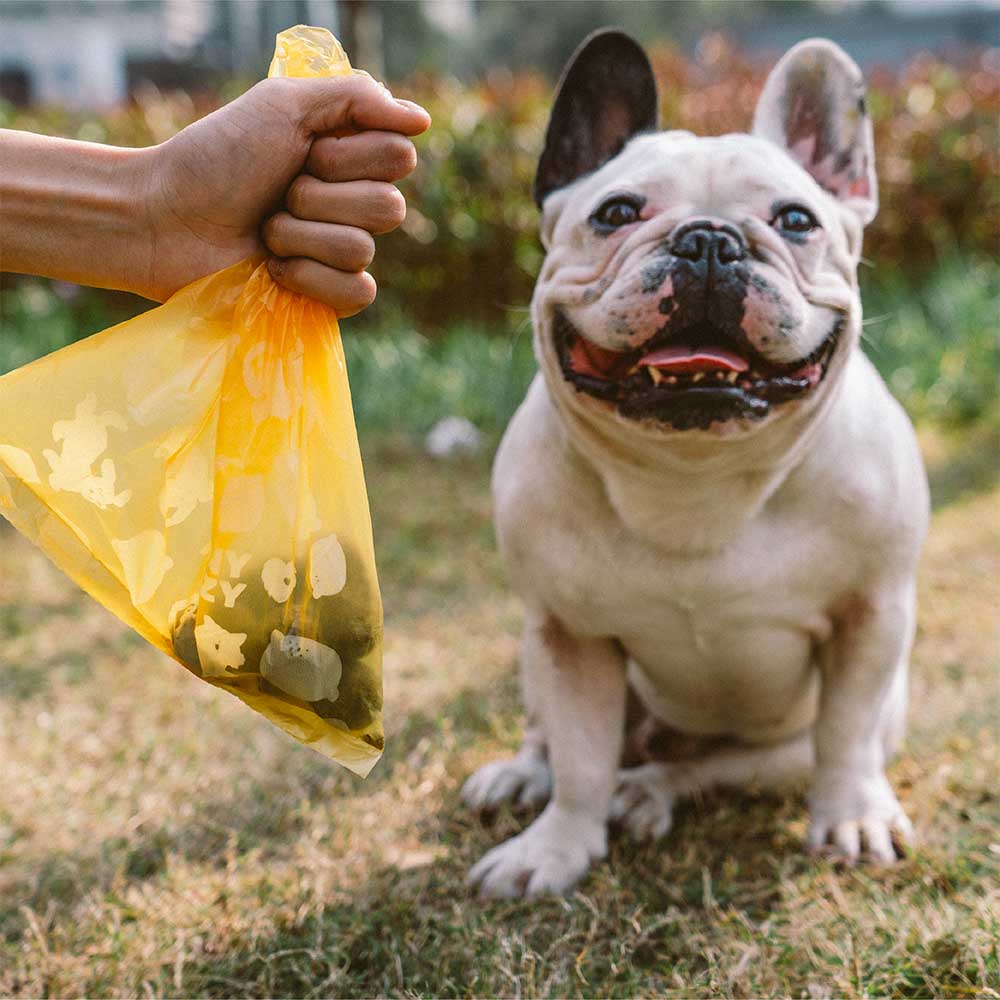 Lemon Scented Durable Recycled Poop Bags - Fresh Up