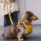 Yellow & Blue - Be Seen Walking Kit - 3pcs