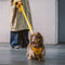 Yellow & Blue - Be Seen Walking Kit - 3pcs