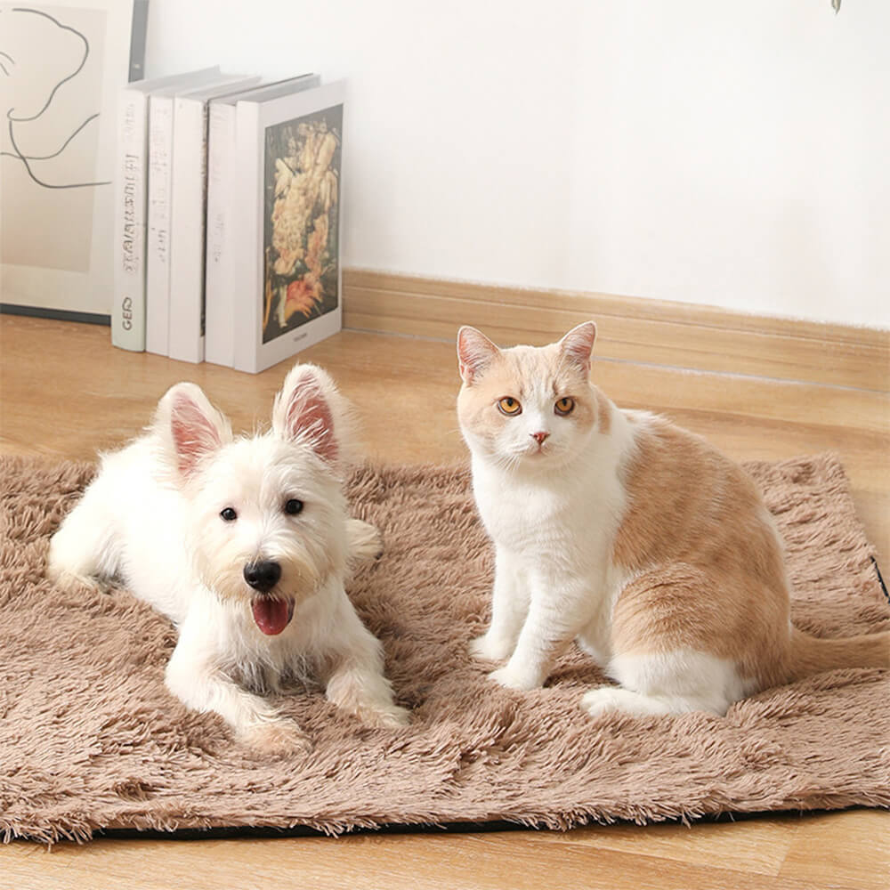 Soft Plush Anti-Slip Fluffy Dog & Cat Rug Mat