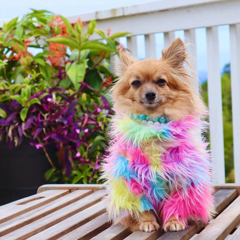 Stylish Colorful Faux Fur Fluffy Rainbow Dog Coat