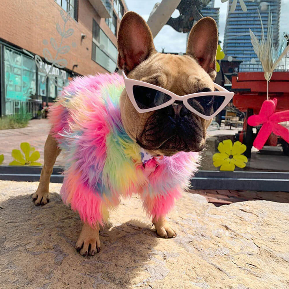 Stylish Colorful Faux Fur Fluffy Rainbow Dog Coat