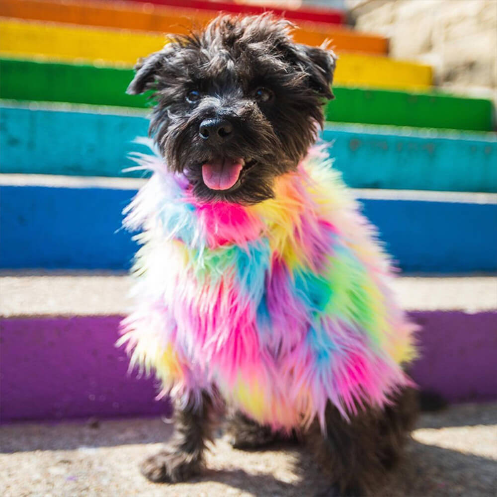 Stylish Colorful Faux Fur Fluffy Rainbow Dog Coat