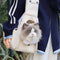 All-Season Ventilated and Lightweight Dog & Cat Carrier Bag