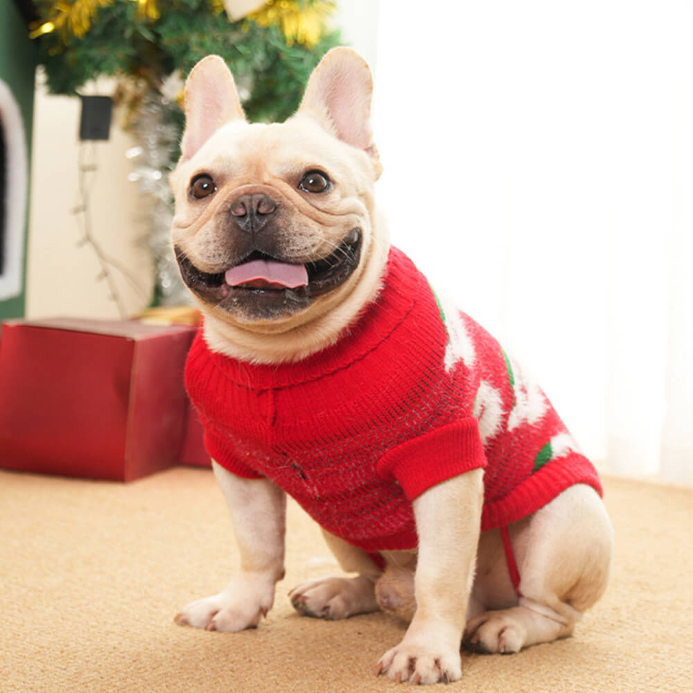 Christmas Turtleneck Dog Knit Sweater Matching Pullover For Dogs And Owner