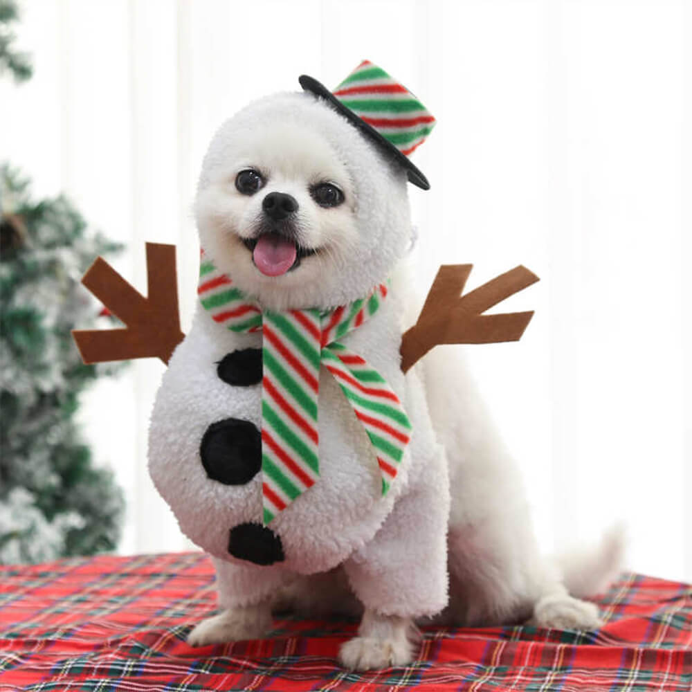 Christmas Walking Snowman Outfit Cosplay Dog & Cat Costume