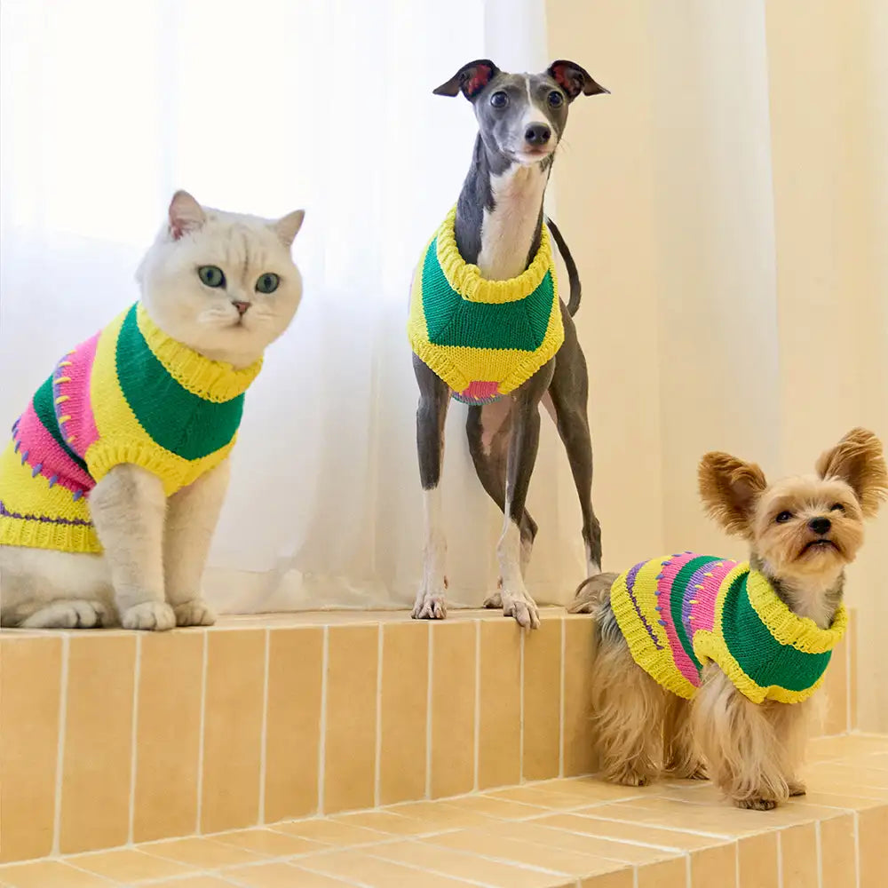 Color Blocked Striped Dachshund Sleeveless Dog Sweater